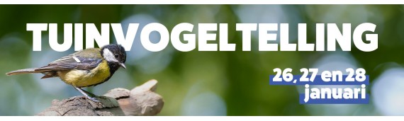Doe mee aan de Nationale Tuinvogeltelling 2024!